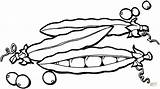 Peas coloring page  Free Printable Coloring Pages sketch template