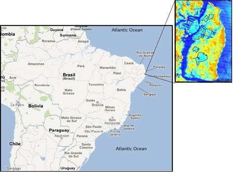 -Location of the Atlantic Forest in the study. The Google maps adapted.... | Download Scientific ...