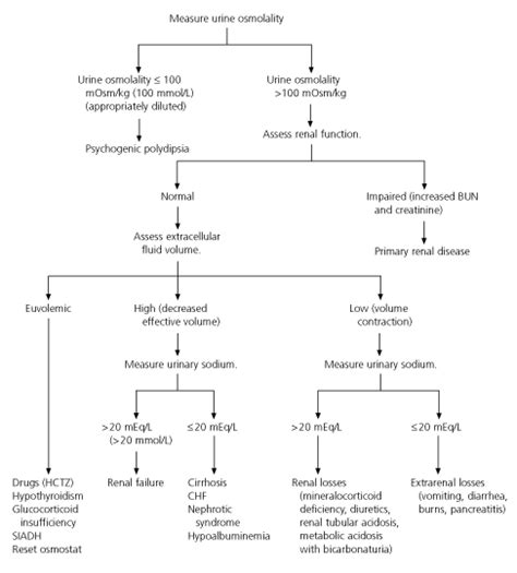 Hyponatremia and Hypernatremia in the Elderly | AAFP