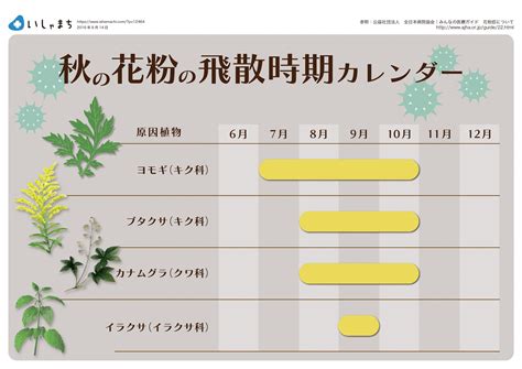 秋の花粉の飛散時期カレンダー #infographics | 秋 花粉, カレンダー, 花粉