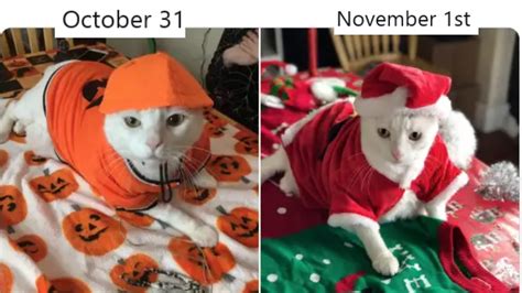 October 31st vs. November 1st | Know Your Meme