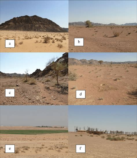 Multiple habitat types included in this survey of reptiles in the Faid... | Download Scientific ...