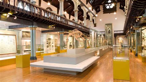 The Hunterian - Art Fund