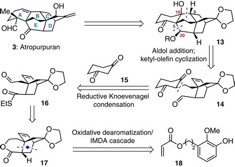 Retrosynthetic analysis of atropurpuran (3). The key disconnections... | Download Scientific Diagram