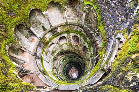 an aerial view of the inside of a spiral staircase with moss growing all over it