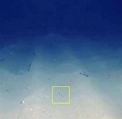 Fact Check: Did the Logitech controller survive? Footage of Titan submarine debris goes viral ...