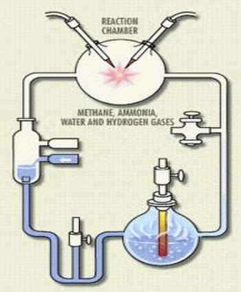 Abiogenesis | Definition, Experiment & Theory - Lesson | Study.com