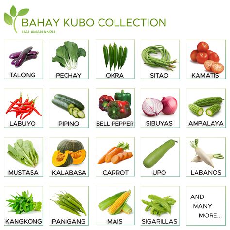 Seeds for Planting Vegetables | Bahay Kubo Collection | Halamanan PH ...