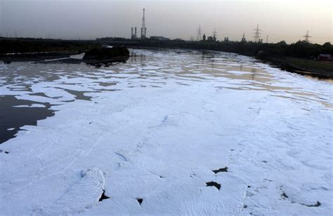 ‘Discharged untreated sewage leads to Yamuna pollution’ - The Sunday ...