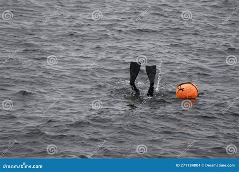 Haenyeo Female Divers or Haenyo Women Diving Scuba for Keeping Abalone ...