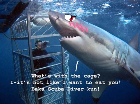 Anime Sharks -- these are... weirdly cute. I love it~ xD Photoshop Meme ...