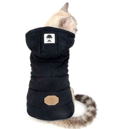 6 Best Cat Winter Jackets: Our Vet Choices