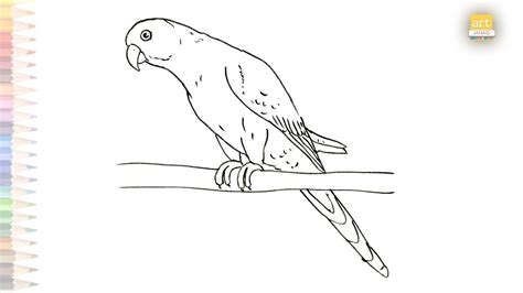 Parrot Drawing Outline