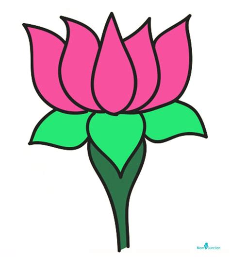 lotus images drawing, Images, Photos, Gallery, Videos, HD, Hand Drawn ...