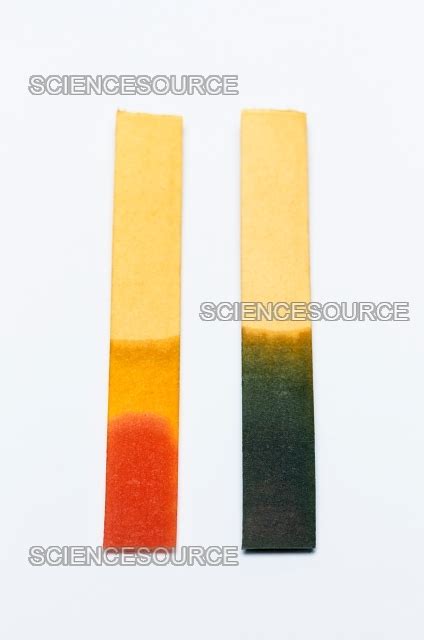 Photograph | Universal indicator paper | Science Source Images