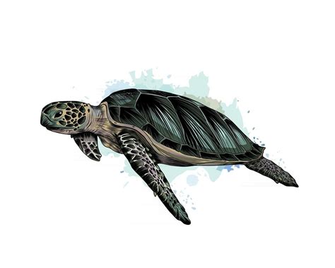 Sea turtle from a splash of watercolor, colored drawing, realistic. Vector illustration of ...