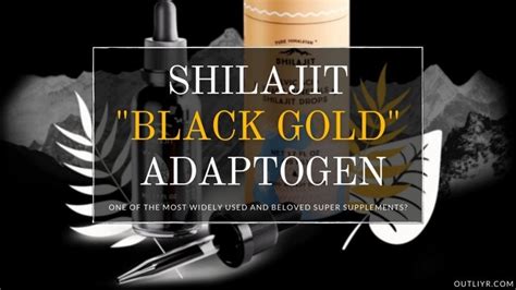 10+ Top Shilajit Supplements 2023: Ultimate Review & Benefits