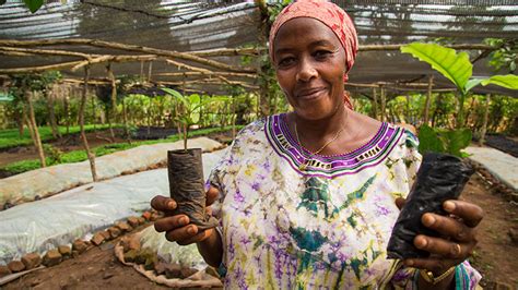 Making Farming More Productive and Profitable for Ugandan Farmers