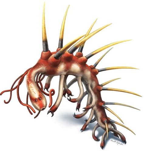 Hallucigenia was a spiky worm with neck tentacles, ring of teeth ...