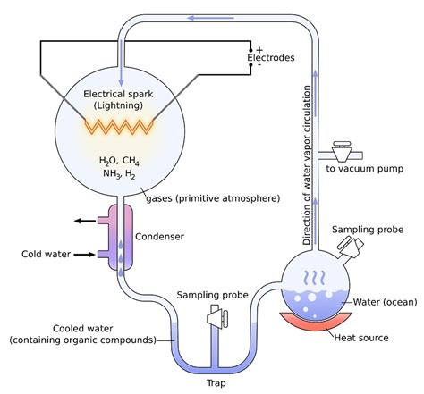 Miller-Urey Experiment | Science Facts