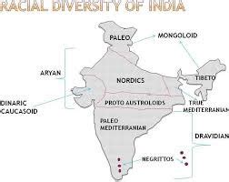 RACIAL GROUPS IN INDIA - INSIGHTSIAS