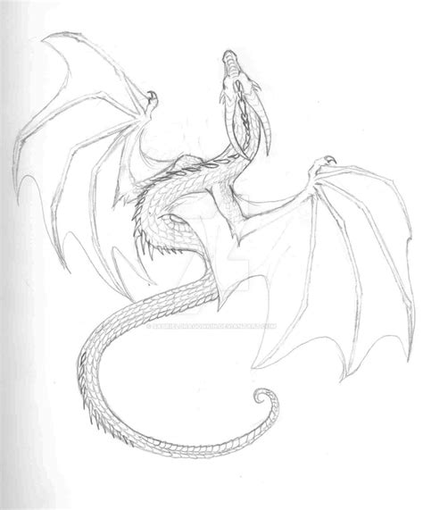 Wyvern Sketch by SabrielDragonkin on DeviantArt