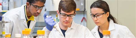 Best Undergraduate Chemical Engineering Schools – CollegeLearners.com