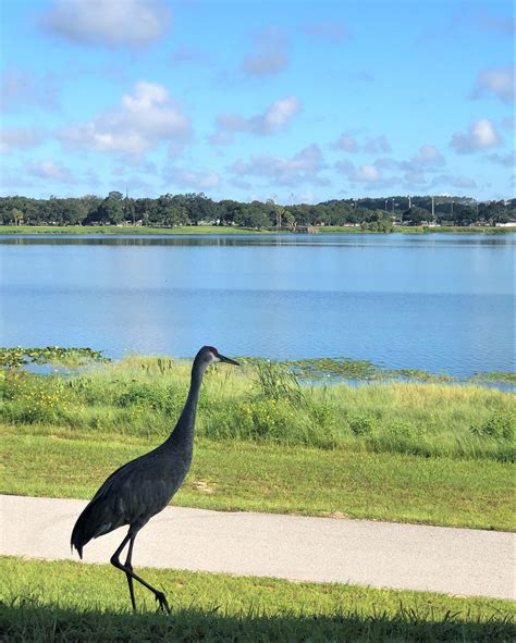 What to Do in Lake Wales, Florida