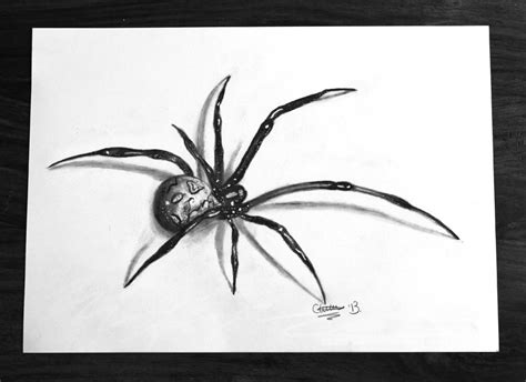 3D Spider drawing by CLGArt on DeviantArt