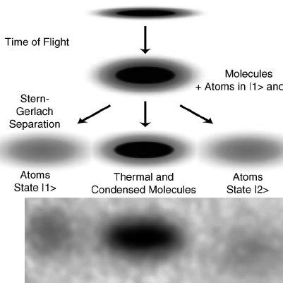 (PDF) Formation Dynamics of a Fermion Pair Condensate