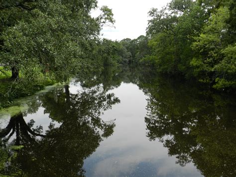 Audubon Park | Audubon Park ©2012 Brian Richard / MonkeyMan … | Flickr