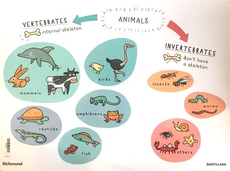 The Little Scientikids 2019 "Animal World": VERTEBRATE ANIMALS. SING, LEARN AND PLAY: VERTEBRATE ...