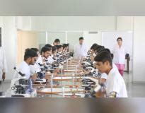 Parul University Courses & Fees 2025: UG, PG, Doctorate, Certificate, After 10th