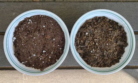 Seed Starting Mix Vs Potting Soil: Which To Use - Epic Gardening