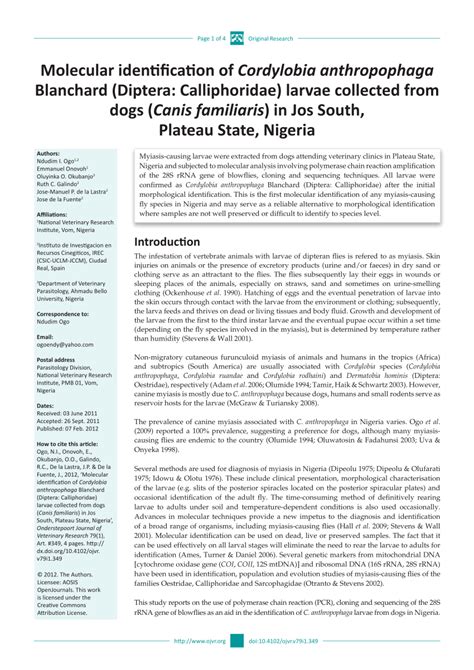 (PDF) Molecular identification of Cordylobia anthropophaga Blanchard (Diptera: Calliphoridae ...