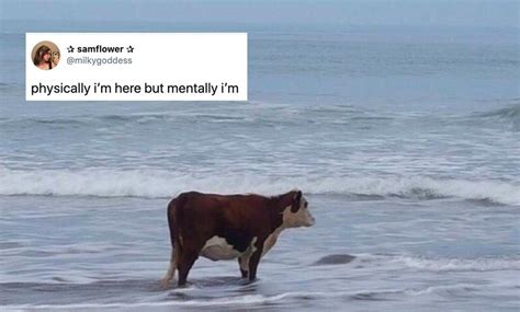 “Mentally I’m here” is the latest meme to take hold of the internet