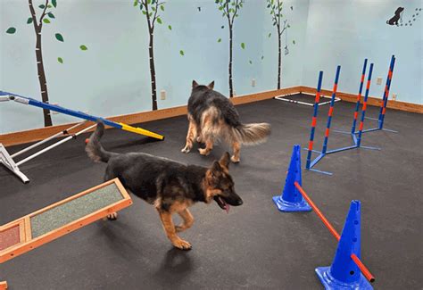 Orleans, Indiana Dog Agility Parks for Rent | Sniffspot