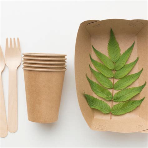 Top 10 biodegradable packaging manufacturers - Verified Market Research