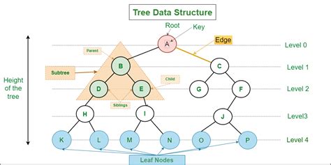 Traversing a Tree (Data Structures) | by Bogdan Tudorache | Medium