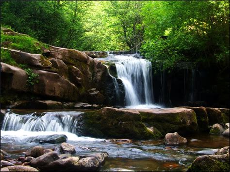 Woodland Waterfall | Flickr - Photo Sharing!