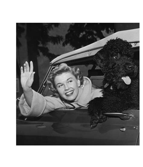 Doris Day Animal Foundation