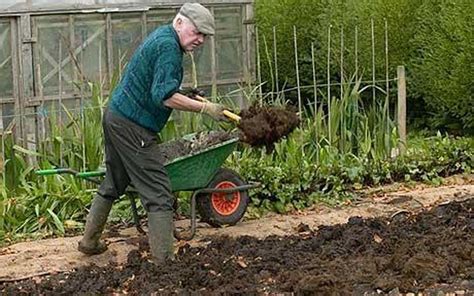 The magic of manure in the garden (Garden Talk) - al.com