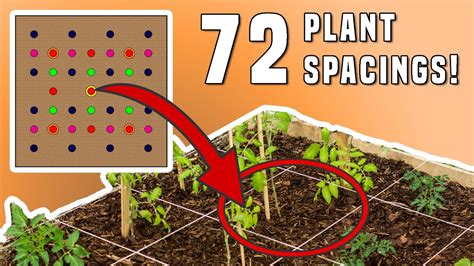 Square Foot Gardening PLANT SPACING (TEMPLATE Chart FOR 72 PLANTS!) - YouTube