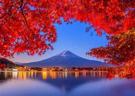 Fall Colors in Japan 2024: Best 8 Spots to See Japanese Maple Leaves ...