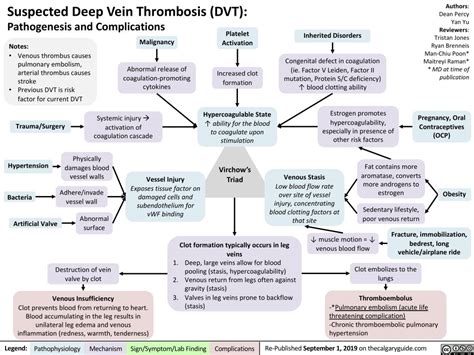 Virchow’s Triad and Deep Vein Thrombosis (DVT) | Calgary Guide