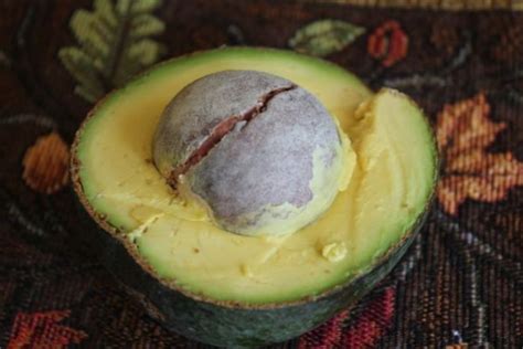 Reed Avocados: Things To Know ⋆ Mimi Avocado