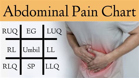 9 Regions Of Abdomen And Their Organs