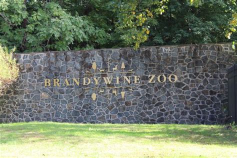 The Brandywine Zoo – Museum Studies Program