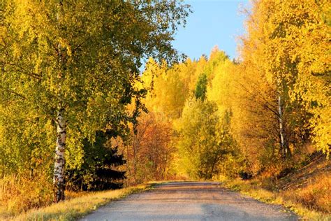 Finland: Autumn Colors Royalty Free Stock Photo - Image: 12166605