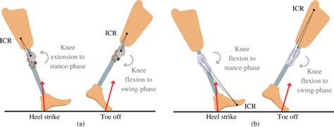 Development of four-bar polycentric knee joint with stance-phase knee flexion,Scientific Reports ...